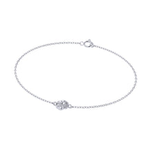 Load image into Gallery viewer, FLBRC1