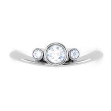 Load image into Gallery viewer, SSRIN17